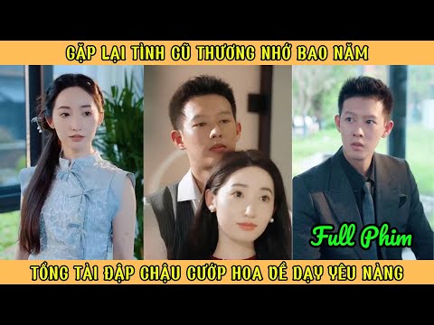 Gặp Lại Tình Cũ Thương Nhớ Bao Năm - Tổng Tài Đập Chậu Cướp Hoa Để Dạy Yêu Nàng
