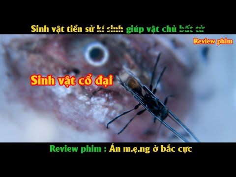 Sinh vật tiền sử có khả năng tái tạo cơ t.h.ể trở thành b.ất t.ử - Review phim