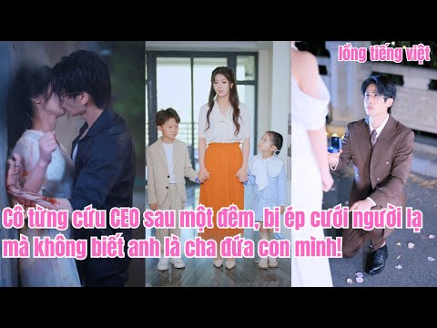 cô từng cứu CEO sau một đêm, bị ép cưới người lạ mà không biết anh là cha đứa con mình!