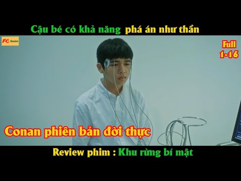 Cậu bé có khả năng phá án như thần - Review phim Khu Rừng Bí Mật