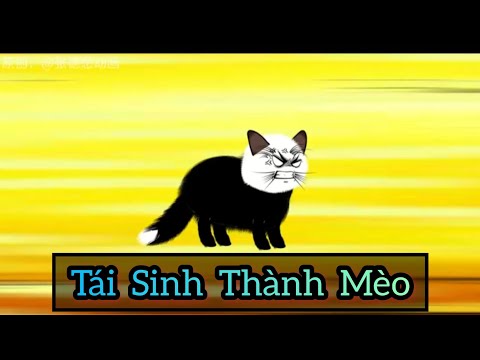 Full Version (1-5) | Tái Sinh Thành Mèo - Bạch Tiên Sinh