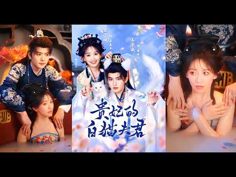 Hoàng Đế Hóa Mèo Được Nữ Thú Y Cứu Mạng, Tỉnh Lại Liền Muốn Phong Nàng Làm Hoàng Hậu