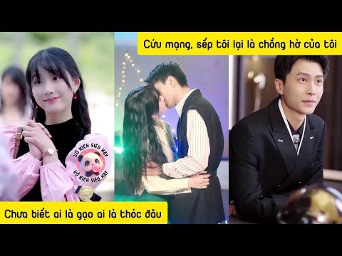 Sếp đừng chọc ghẹo tôi nữa, tôi thật sự không thích anh đâu, chúng ta chỉ là vô tình kết hôn thôi mà