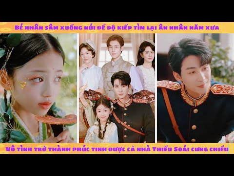 Bé nhân sâm xuống núi trở thành phúc tinh được cả nhà Thiếu Soái cưng chiều