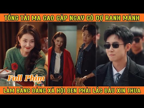 Tổng Tào Ma Cao Gặp Ngay Cô Vợ Ranh Mãnh, Làm Băng Đảng Xã Hội Đen Phải Lắc Đầu Xin Thua