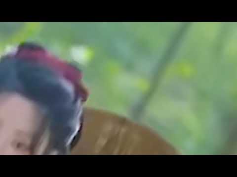 cánh rừng