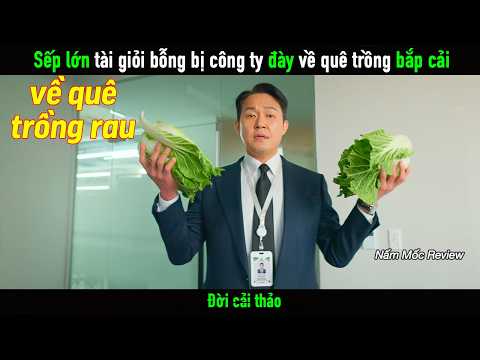 Sếp lớn tài giỏi bỗng bị công ty đày về quê trồng bắp cải