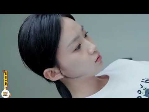 REVIEW PHIM : THÚ CƯNG BIẾT NÓI TRỌN BỘ #reviewphim #movie #phimhay2025 #xemgihomnay