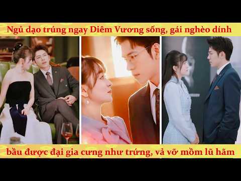 Vô tình mang thai con của sếp: Tổng Tài bá đạo sủng vợ bầu