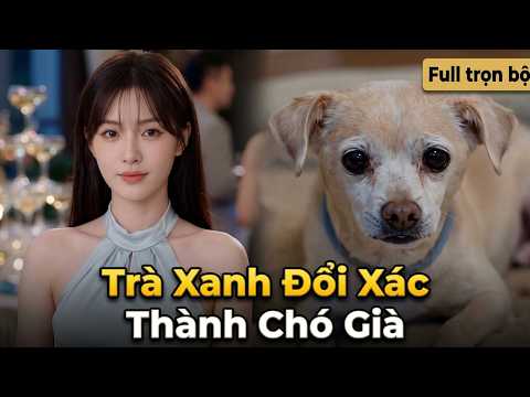 Trà Xanh Đổi Xác Thành Chó Già full trọn bộ