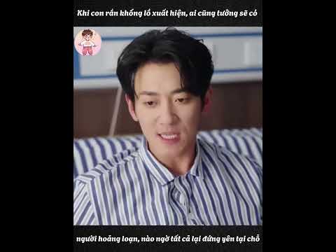 Khi con rắn khổng lồ xuất hiện, ai cũng tưởng sẽ có người hoảng loạn nào ngờ tất cả lại đứng yên