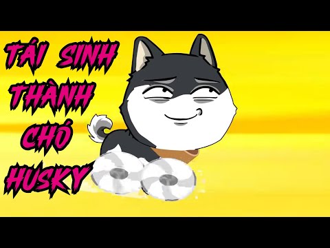 Full TRỌN BỘ | Tái Sinh Thành Chó Husky - Bạch Tiên Sinh
