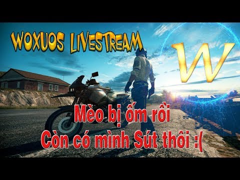 [PUBG M] Hic buồn quá, Mèo bị ốm r. Sút hành gà 1 mình vậy