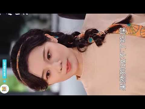 REVIEW PHIM : MỘT VÁN CƯỢC TRỌN BỘ #reviewphim #film #movie #phimhay2025 #xemgihomnay