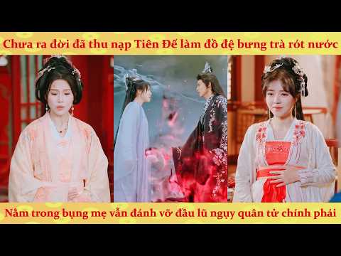 Xuyên Không Vào Bụng Mẹ Khởi Đầu Nhận Tiên Đế Làm Đệ Tử