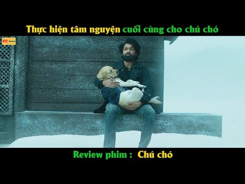Thực hiện tâm nguyện cuối cùng cho chú chó - Review phim Chú Chó